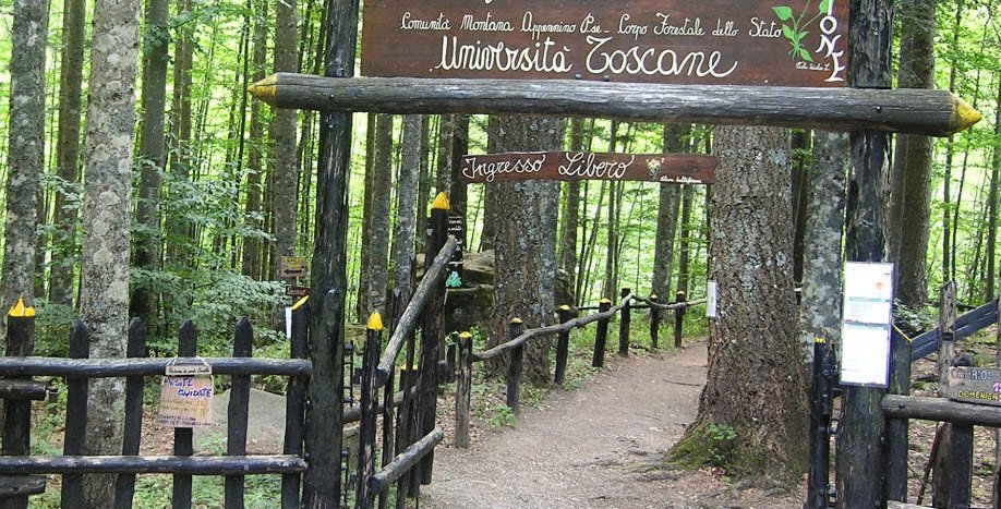 Orto Botanico Forestale dell'Abetone, Italy, Italy